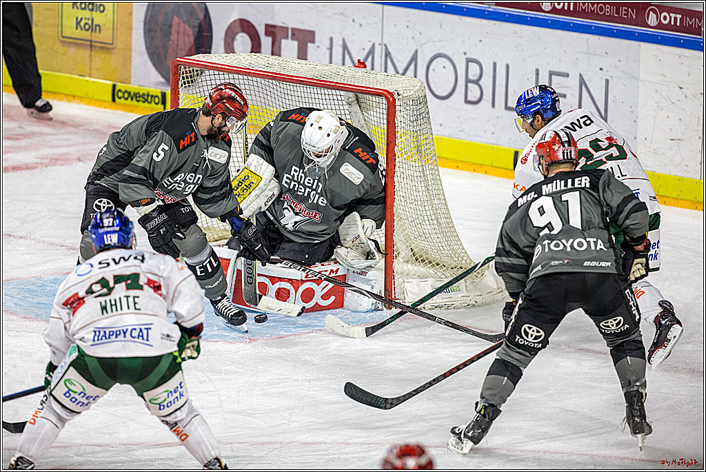 DEL Koelner Haie - Augsburg Panther, 14.09.2018